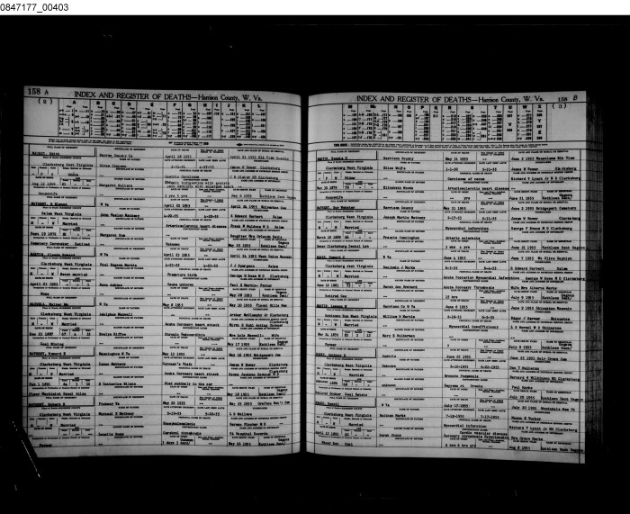 Raymond Pearl (1879-1940)