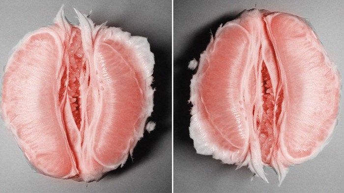 Flower similar to female organs