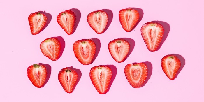 Trish and Lady DMS 5