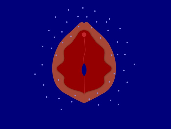 Healthy female genital