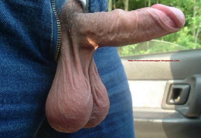 Large penis amateur
