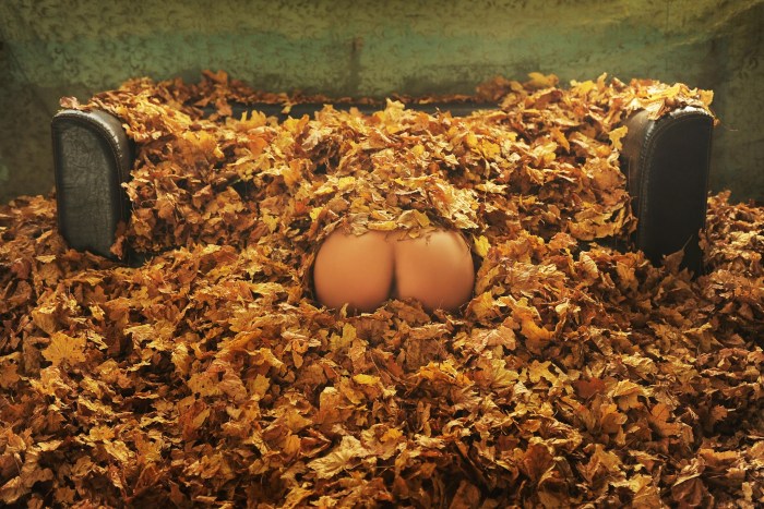 Naked girls in the autumn forest