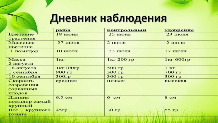 Schedule of classes table