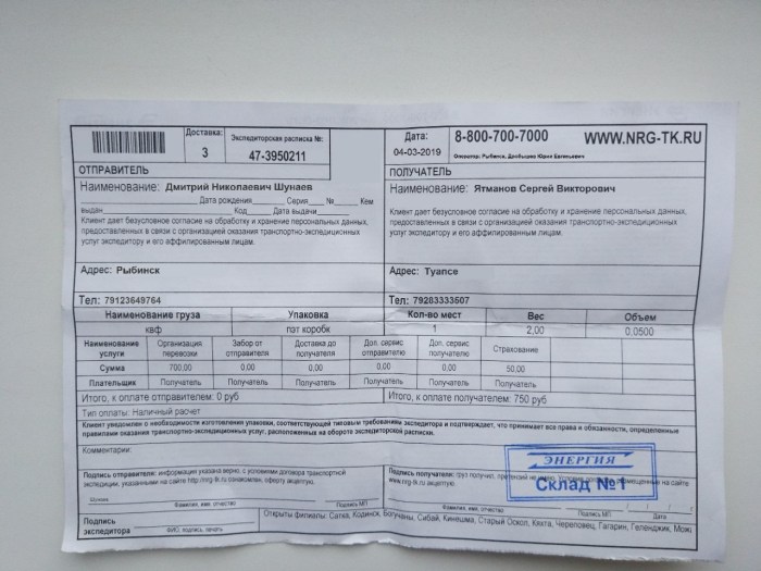 Lena Nitro pornography