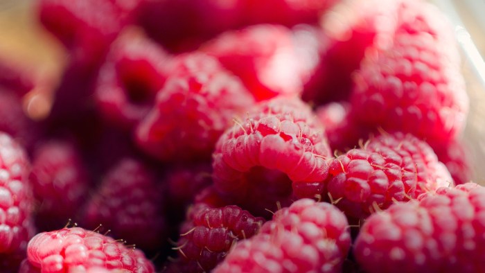 Raspberry aesthetics