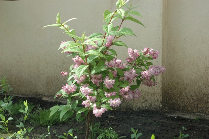 Art minimalism Linux