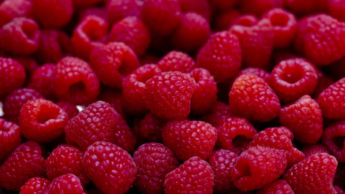 Berries raspberry blackberry
