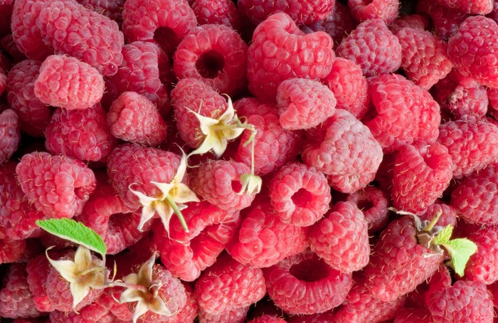 Pink raspberries