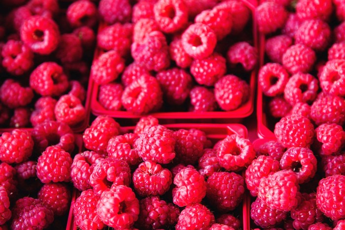Raspberry is forest