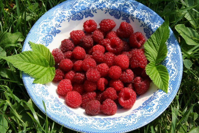 Raspberries