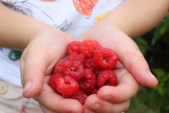 Raspberry St. Petersburg