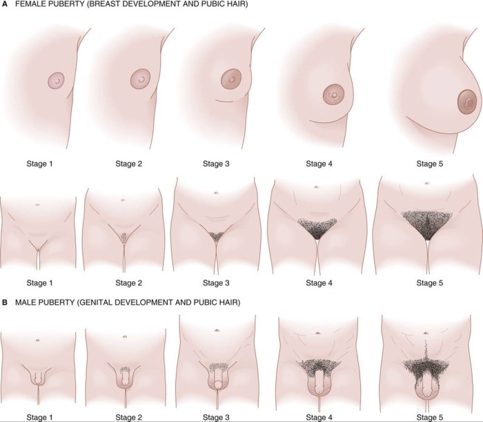 Lube development in girls