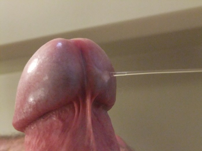 Beautiful male cock cums