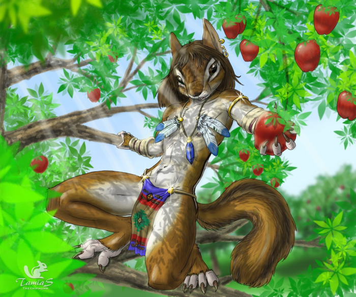 Squirrel Kawaii picture for children