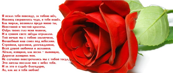 The best woman in the world