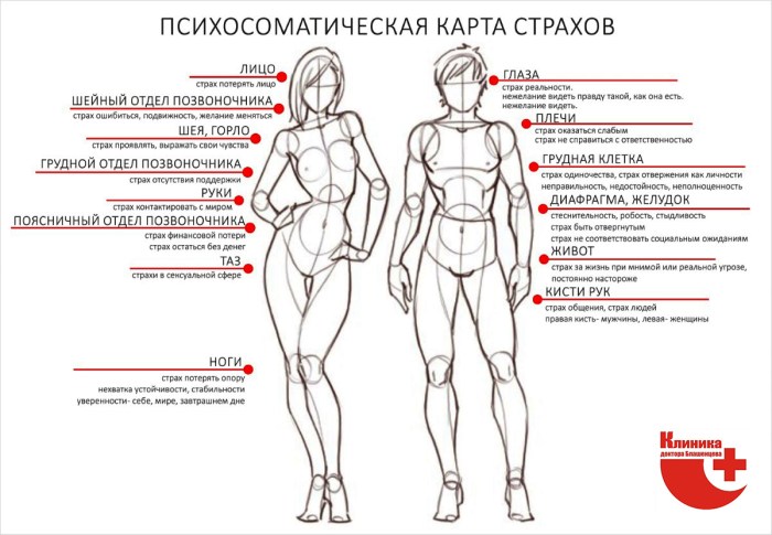 Vampire Diaries Damon and Elena and Stefan