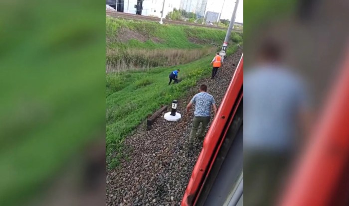 Battle Kulikovo Plan 8.09.1380