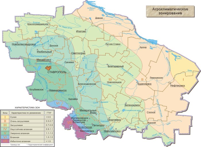 Tula Northern bus station minibus