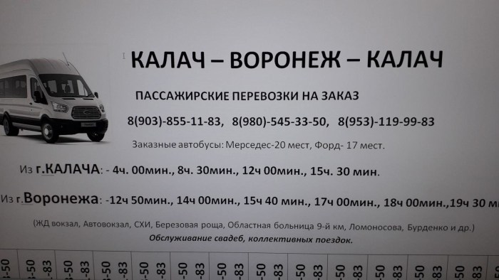 Kate Princess Solarchin