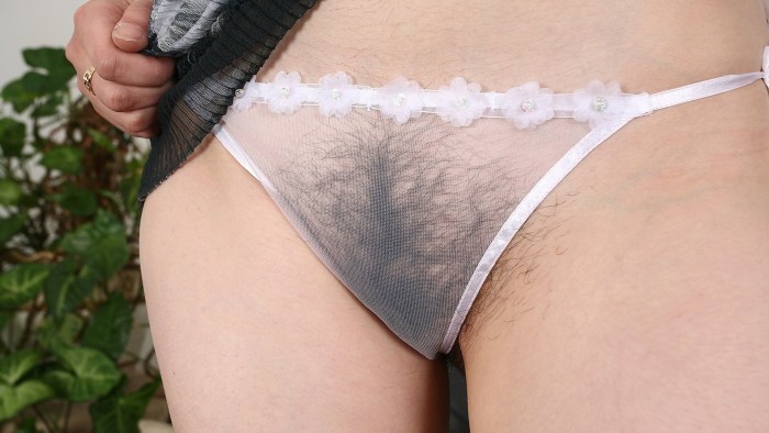 Hairy pussies in transparent panties