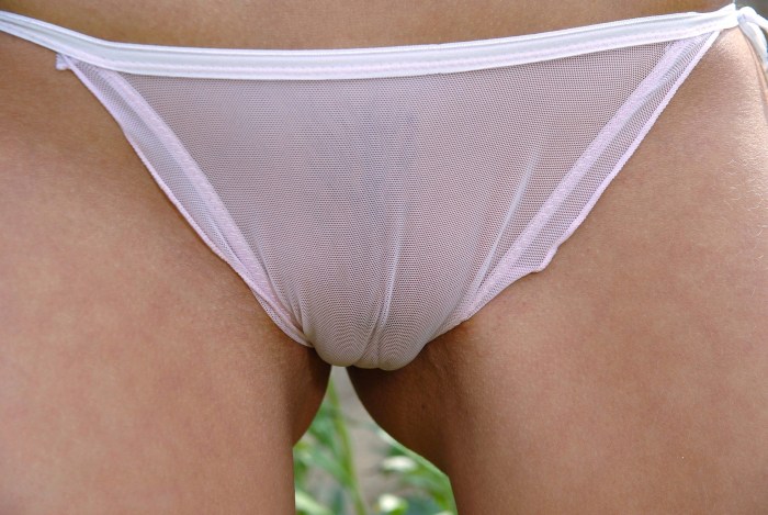 Labia in transparent panties