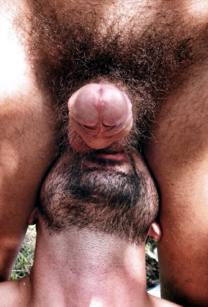 Huge hairy dick in the anus