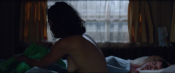 Actress Sonya Braga Naked