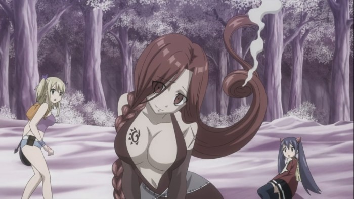 Fairy tail Fleur and Lucy