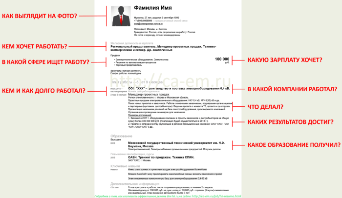 Sandra Bullock in porn films