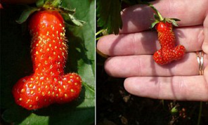 Strawberries with lip cream