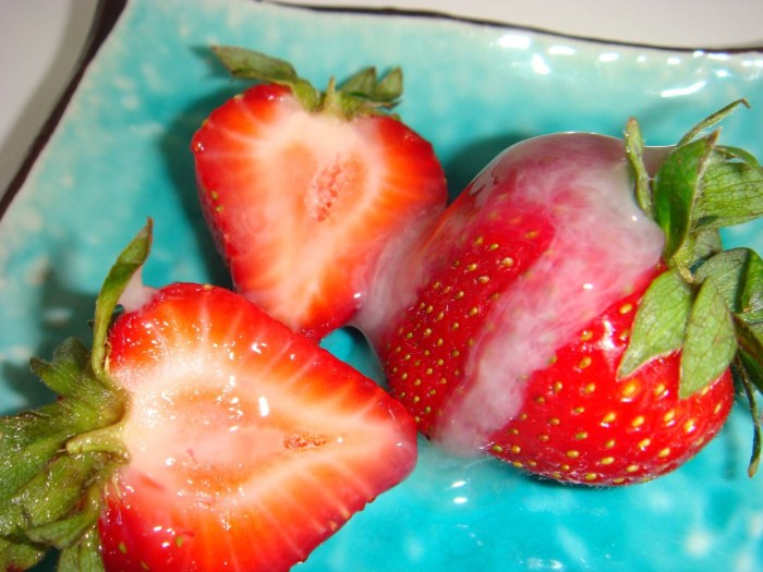 Anal with ladies of Balzakovsky age