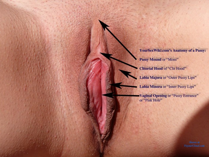 Different female vagina