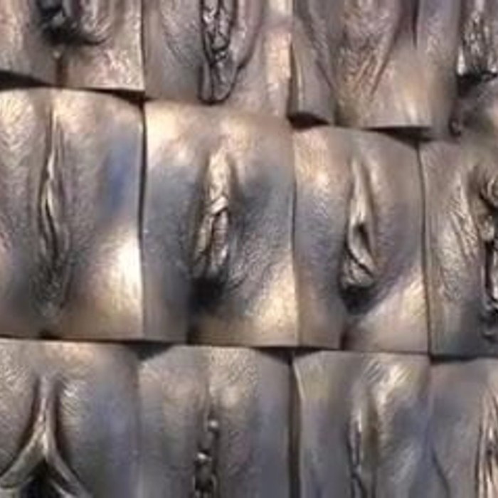 Vagina of different peoples of the world