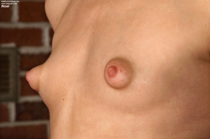 Big swollen women's nipples
