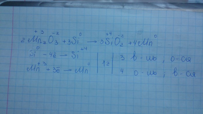 Kravets Alina Cherepovets