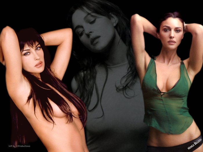 Monica Bellucci in Lingerie