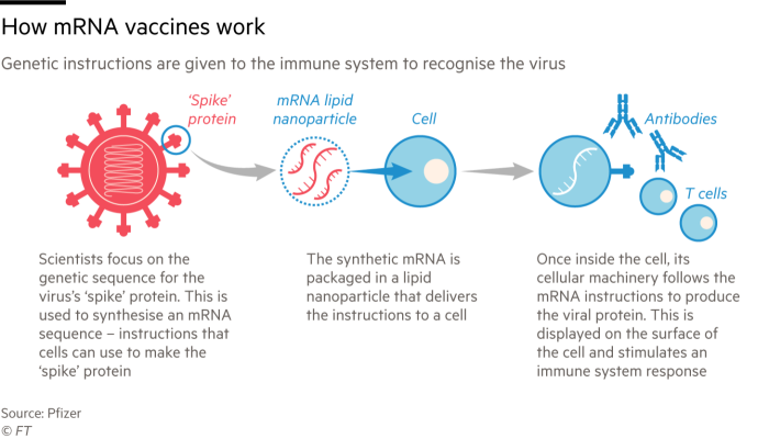 Pfizer MRNA vaccine