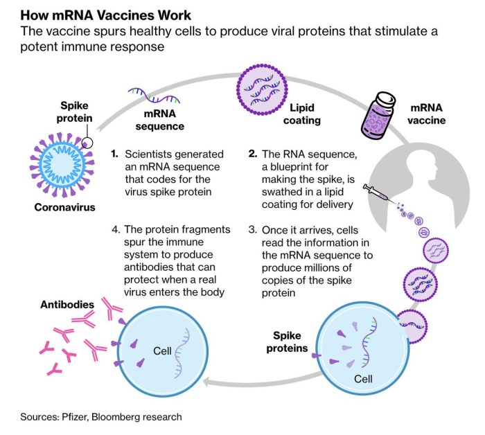 MRNA vaccine