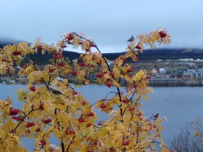 Burlesque Show Acrobatic