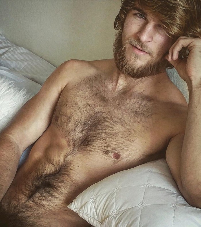 Hairy male pubis