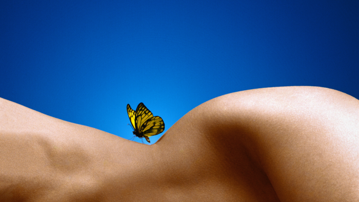 A butterfly on the body