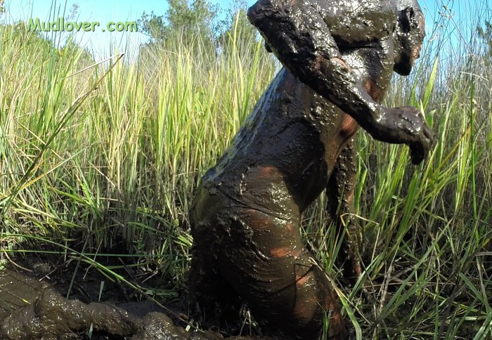 Boy 3D Michael and Frogs - Lost in Swamp XXX