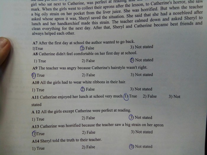 Put The Verbs Into the Correct Past Tense