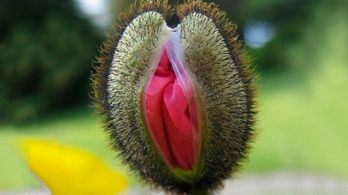 Niece Waidhofer Onlyfans drain