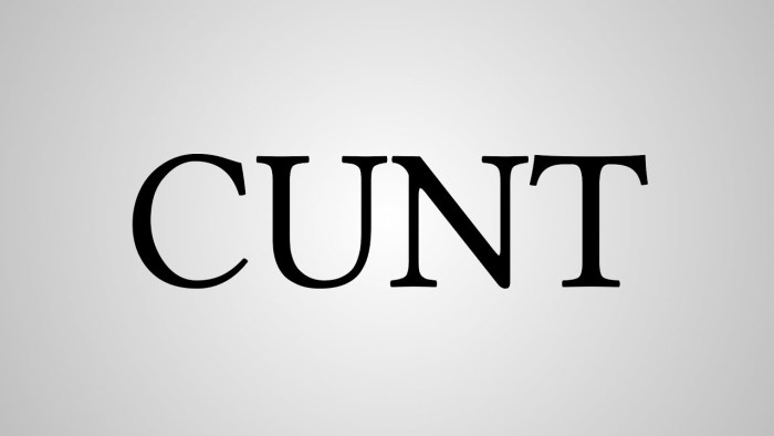 Anal Cunt Music group