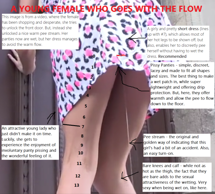 Japan's skirt lifted up