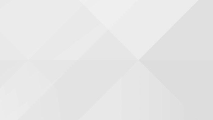 Punishing: Gray Raven Bosses