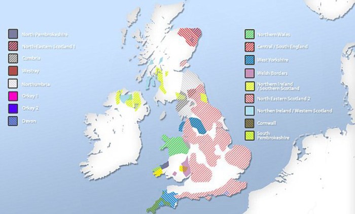 The Geno Front of the British