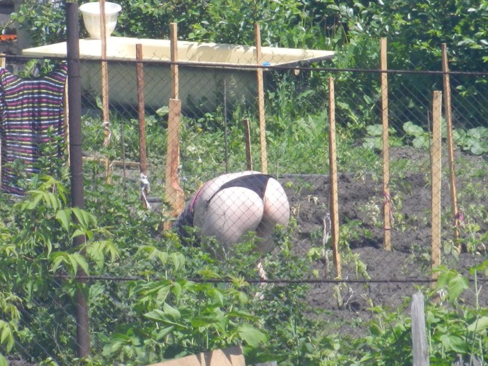 A neighbor in the country