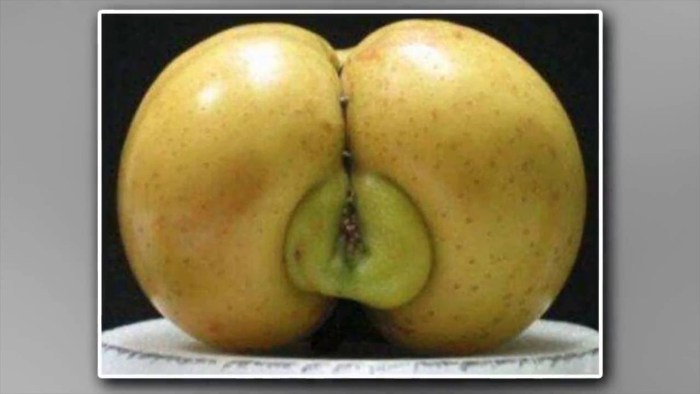 Fruit in the form of priests